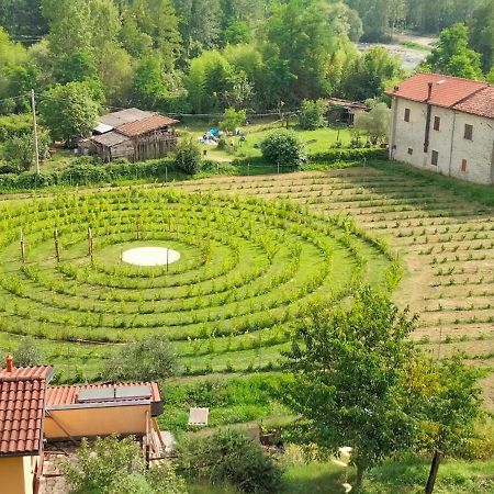 Agriturismo Il Poderetto Licciana Nardi Ngoại thất bức ảnh