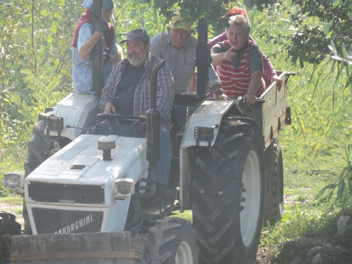 Agriturismo Il Poderetto Licciana Nardi Ngoại thất bức ảnh