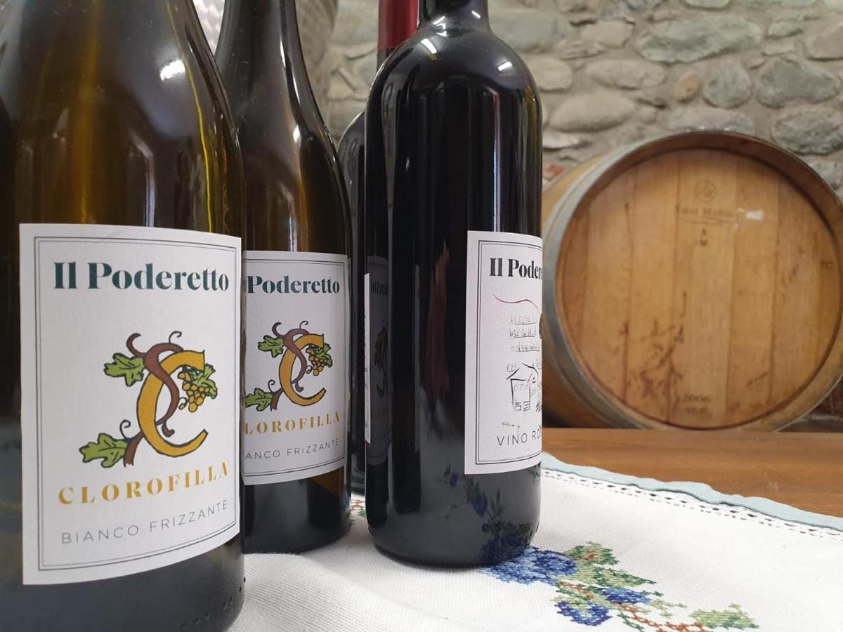 Agriturismo Il Poderetto Licciana Nardi Ngoại thất bức ảnh