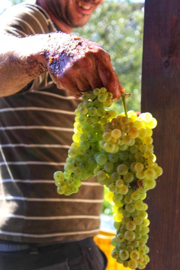 Agriturismo Il Poderetto Licciana Nardi Ngoại thất bức ảnh