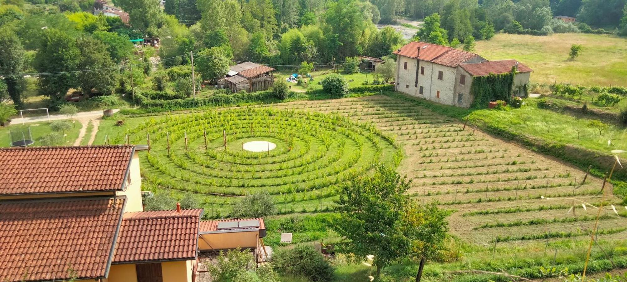 Agriturismo Il Poderetto Licciana Nardi Ngoại thất bức ảnh