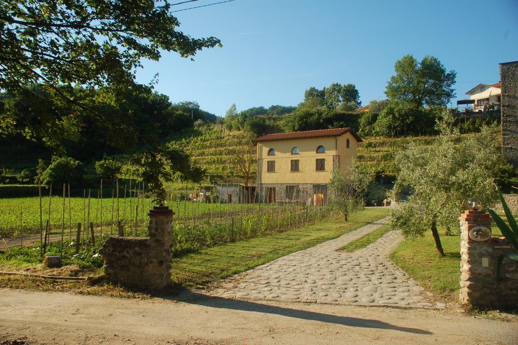 Agriturismo Il Poderetto Licciana Nardi Ngoại thất bức ảnh